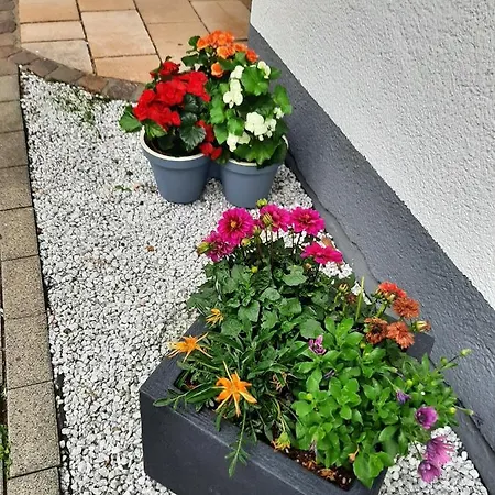 Berghotel-willingen 3*