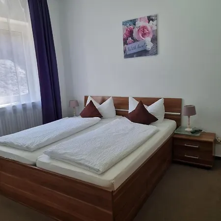 Berghotel-willingen Penzion Willingen (Upland)