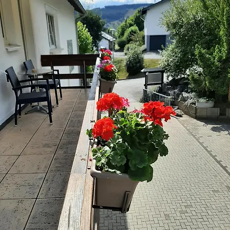 Berghotel-willingen Willingen (Upland)