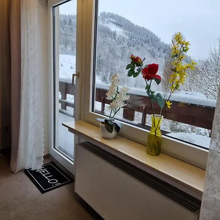 Penzion Berghotel-willingen