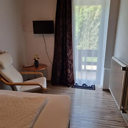Berghotel-willingen Penzion Willingen (Upland)