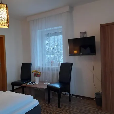 Berghotel-willingen Penzion