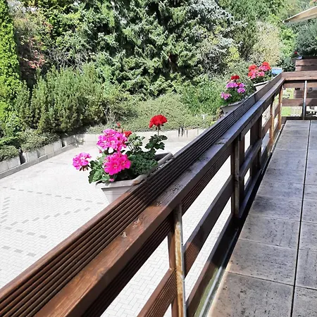 Penzion Berghotel-willingen Willingen (Upland)
