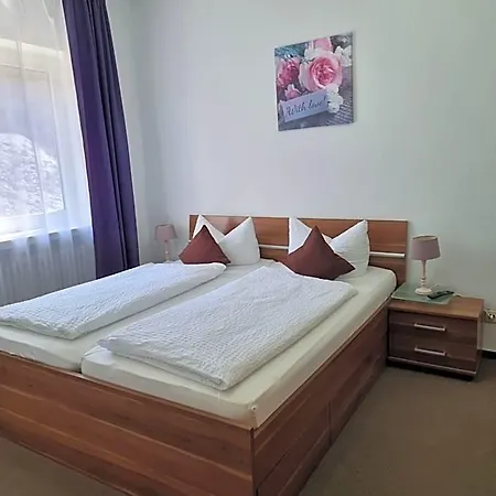 Berghotel-willingen Penzion Willingen (Upland)