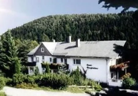 Berghotel-willingen Willingen (Upland)