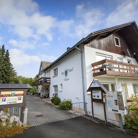 Berghotel-willingen Penzion