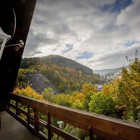 Berghotel-willingen Penzion 3*