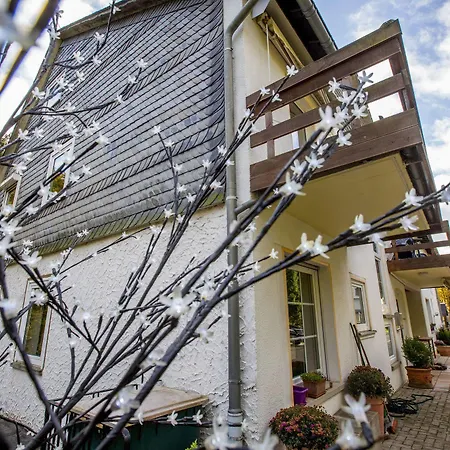 Berghotel-willingen Kro Willingen (Upland)