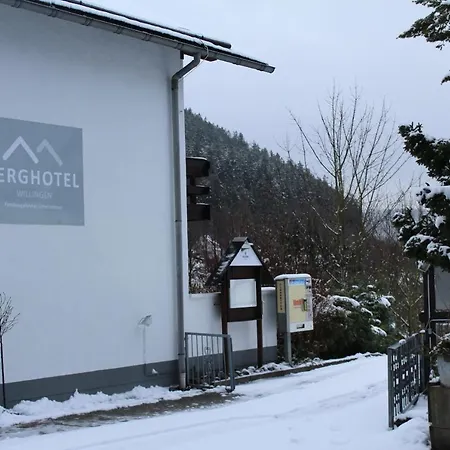 Berghotel-willingen Mini-hôtel 3*