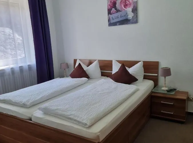 Berghotel-willingen Penzion Willingen (Upland)