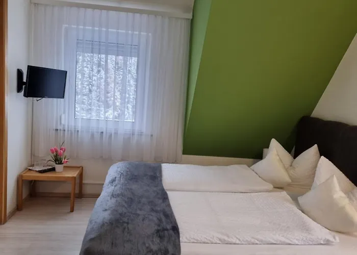 Penzion Berghotel-willingen