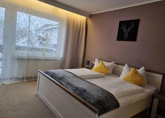 Berghotel-willingen 빌링겐