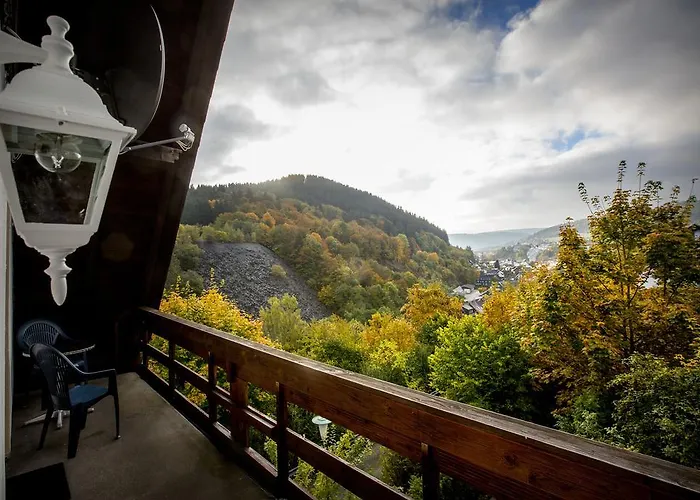 Berghotel-willingen Penzion Willingen (Upland)