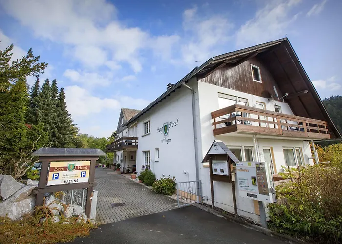 Berghotel-willingen 여관