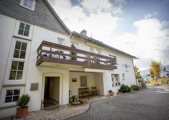 Penzion Berghotel-willingen 3*