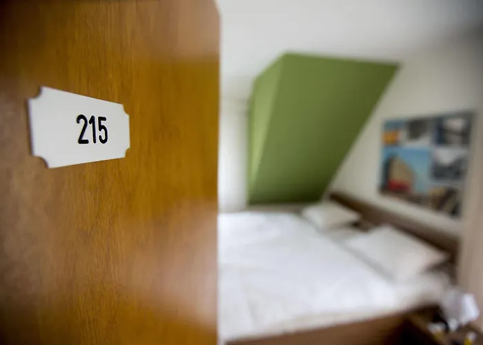 Berghotel-willingen Penzion 3*