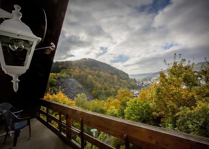 Berghotel-willingen 여관 3*