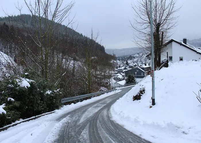 Berghotel-willingen 3*