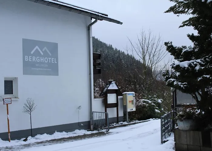 Berghotel-willingen Penzion 3*